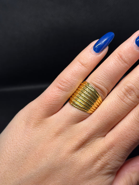 Anello fascia doppia